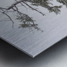 Dead or Alive Metal print