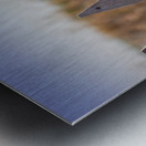 Serenity Metal print