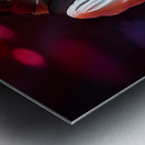 Keith Howard Metal print