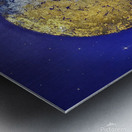 Raven Shine Metal print