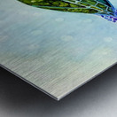 Southern Passage Metal print