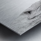 Up Close You Are More Wrinkly Than I Remember  Metal print