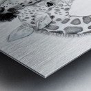 Giraffe Family  Metal print