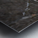 Sleepy Owl Metal print