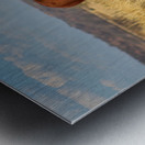 Red Bull Metal print