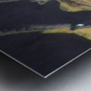 Watering Hole Metal print