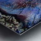 Mystique Metal print