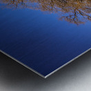 Bending Oaks Metal print