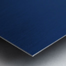 Seagull Iconic Beach Bird Metal print