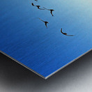 Canada Geese at Northside Park Metal print