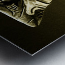 Golden Shark in Ocean City Metal print