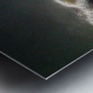 Monster of the Seas Ocean Wave Panorama Metal print