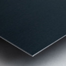 Seagull Portrait Almost Black and White Metal print