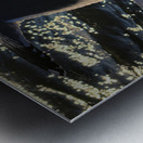 Seagull Wing Detail at the Ocean City Inlet Metal print