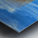 Dune Grass above an Atlantic Ocean Beach Metal print