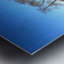 Abandoned Farmhouse and Barn in Williamsville DE Metal print