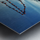 Ocean City Winterfest of Lights Pelican Metal print