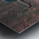 Longhorn Metal print