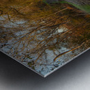 Morning Walk Metal print