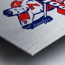 1965 Houston Apollos Hockey Logo Art Metal print