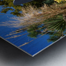 Ocean City Dune Crossing at 142nd Street Metal print