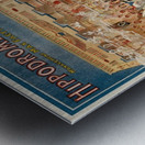 Aida Metal print