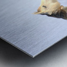 Snow White Impression metal