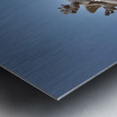 Melk Abbey Roof Art Metal print