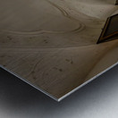 The Walk  Metal print