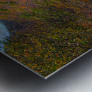 Swallowed by Fall Colors Metal print