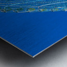 Texas Ferris Wheel Metal print