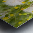 DREAMY WEEDS - ByZo Art Photography Metal print