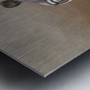 The mind of a racist Metal print