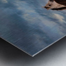 Wild Horses Metal print