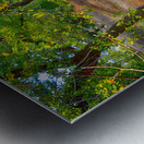 A Walk In The Park  Metal print