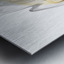 Flame of Glory Metal print