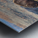 Bison-The Journey aka The Old Man Impression metal