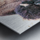 A TaTanka aka The Old Man Impression metal