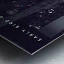 Early Bird Gets The Lambo Metal print