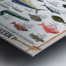 Mediterranean Fish Metal print