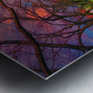 Fugi lake path sunset arkvis A  Metal print