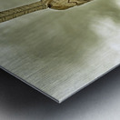 Assateague Indian at the OC Inlet in goldtone Metal print