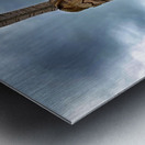 Assateague Indian at the Ocean City Inlet Edited Metal print