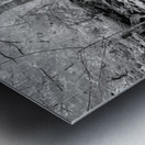 Roots Metal print
