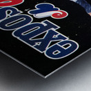 1988 Montreal Expos Poster Metal print