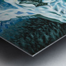 2001 010 Metal print