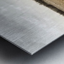 Country Life Metal print