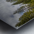 Trees of Lake Britton Metal print