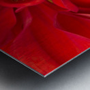 Red and Yellow Metal print