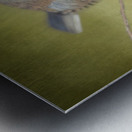 Dark Eyed Junco with Texture Metal print